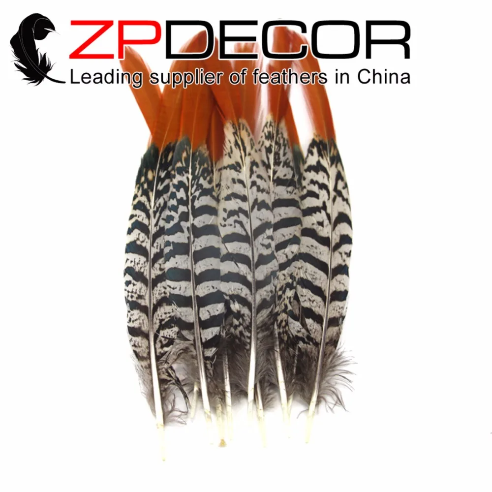 

ZPDECOR 100pcs/lot 6-8 inch(15-20cm) NATURAL Orange Tips Lady Amherst Pheasant Feather For DIY Decoration