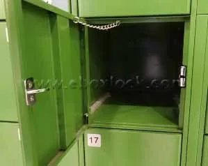 Electronic locker