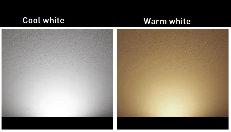 3829324003_1213047962