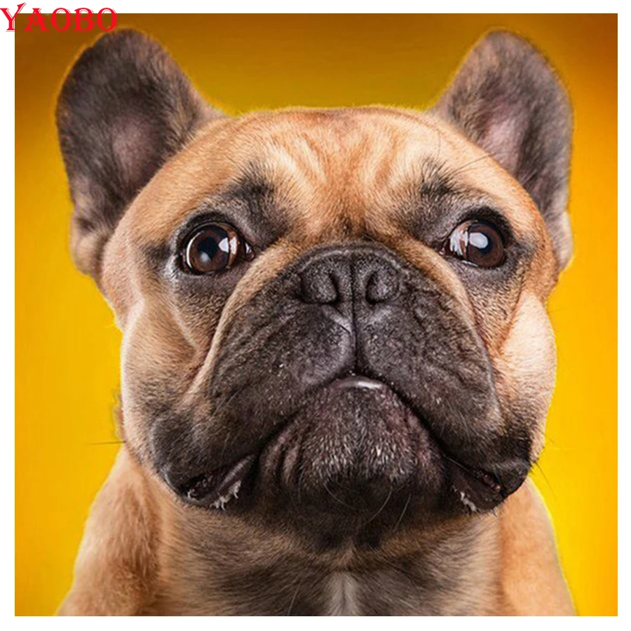 Алмазная вышивка Shar Pei домашнее животное картина на заказ 5d Вышивка крестом 3D