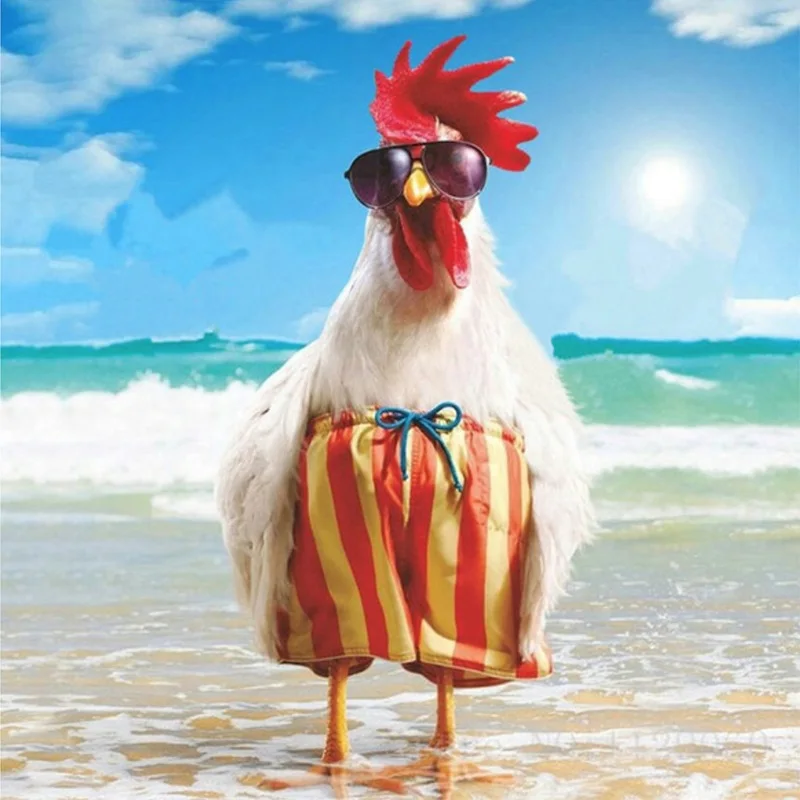 Fashionable Beach Cock Sale DIY Diamond Painting Cross Stitch Mosaic Home Decor Embroidery Kids Gift KBL | Дом и сад
