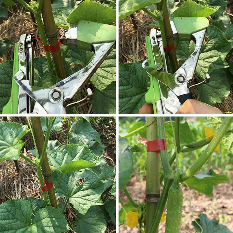 

New Hot Vine Branch Tying Tape Tie Stapler Tools Kit Plant Vegetable Nursery Prune SMD66