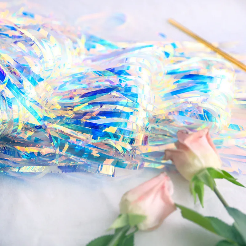 1x2M Colorful Curtain Tassel Garland Wedding Decoration Photography Backdrop Bachelorette Party Decor TB12 (2)