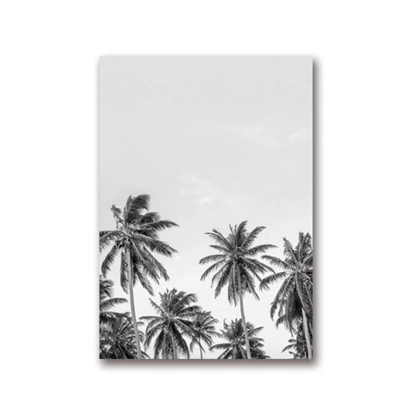 Тропический пальмовый лист Художественный Холст Плакаты принты, тропический Плам дерево фотография картина черно-белая картина домашний Настенный декор - Цвет: PH1060