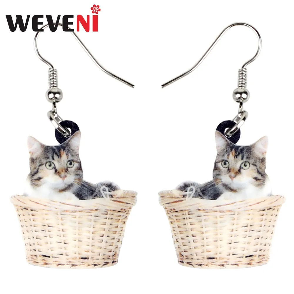 Акриловые Мультяшные серьги WEVENI в виде корзины котенка кота большие длинные