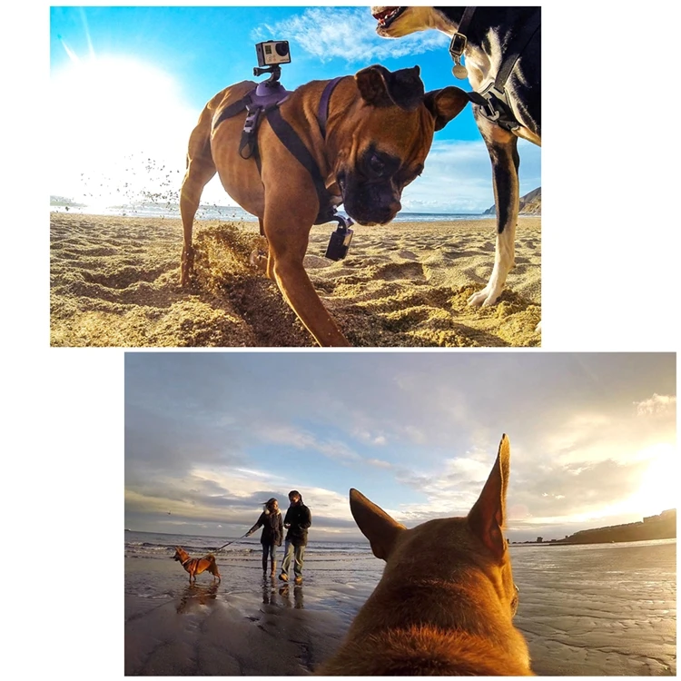 Нагрудный ремень для собак Gopro hero 8 7 6 5 4 3+ Go pro camcorder Hound Pets нагрудный ремень SJCAM SJ4000 Xiaoyi 4K камера