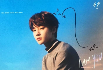 

hand signed Stray Kids I.N autographed photo I AM YOU K-POP 5*7 collection 102018