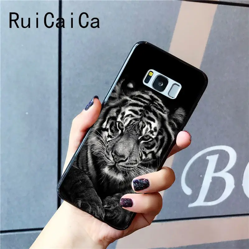 tiger fashion
