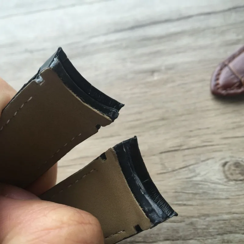 TB2ShITnFXXXXbeXFXXXXXXXXXX_!!2395647146