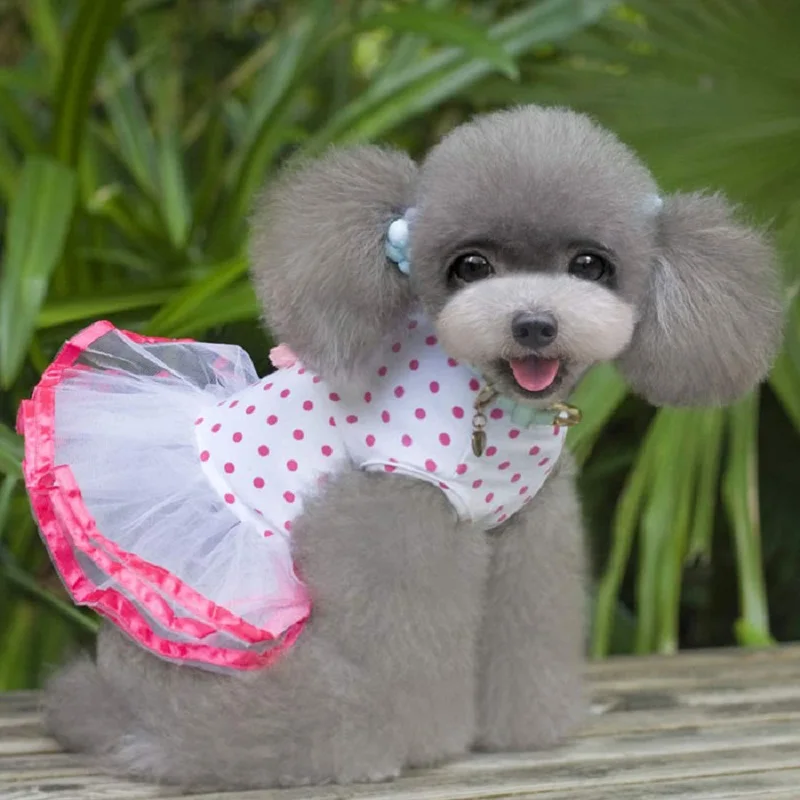 Summer Pets Dress 2016 Fashion Puppy Dog Princess Dress Dog Cherry Lace