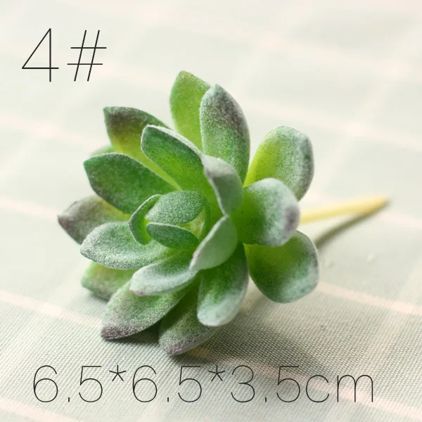 3653281099_544858394