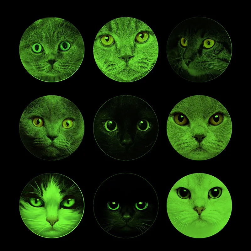 00 -  (7) -  - 