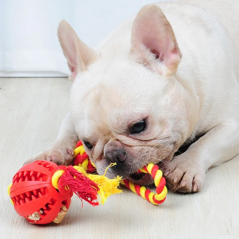 

New Pet Dog Toys Interactive Natural Rope Rubber Ball Cat Puppy Chew Toy Food Ball Bite-Resistant Clean Teeth Pet Playing Balls