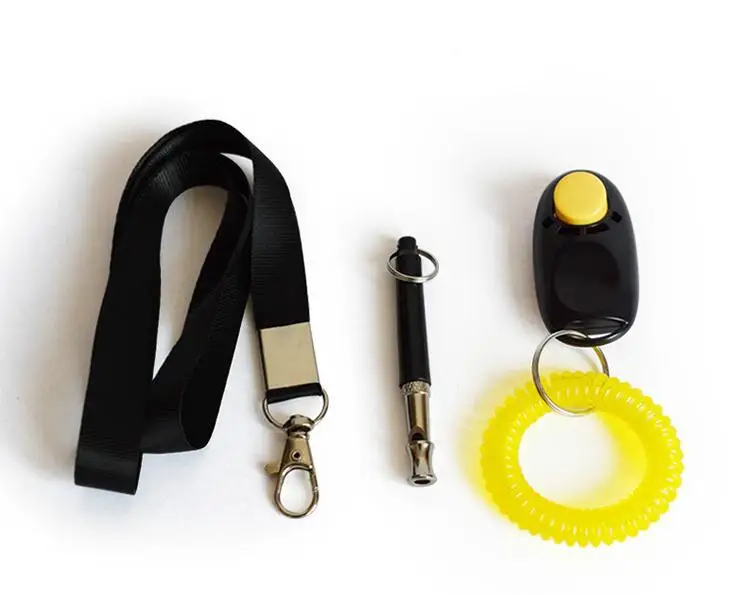 36020190404081903644