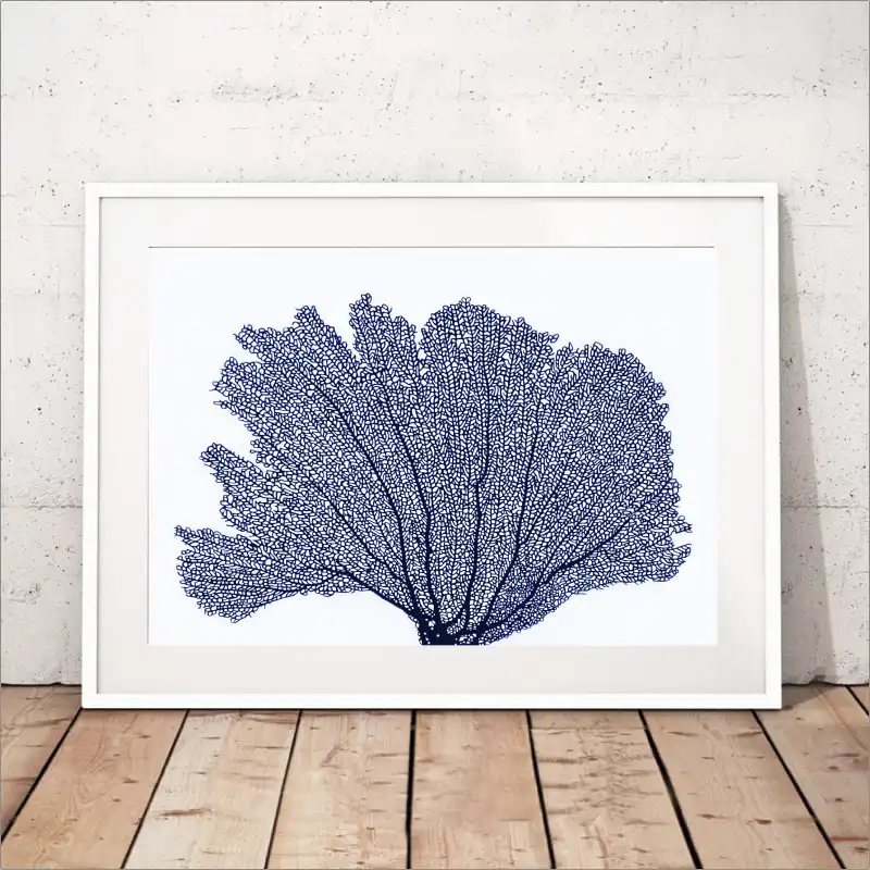 Carteles E Impresiones De Coral Marino Cuadro Sobre Lienzo Para