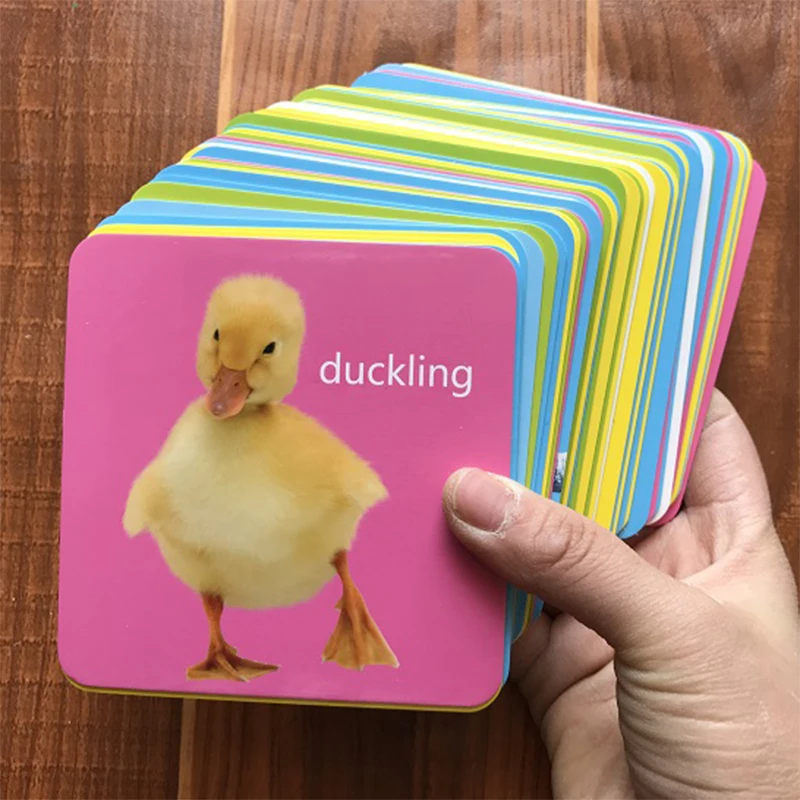 Peças do Corpo Educativos para Crianças Jogo da Palavra Cartão de Bolso Animal Início Inglês Aprendizagem Flash Cartão Brinquedos Crianças 44 Pçs - Set 7 Computers & Electronics