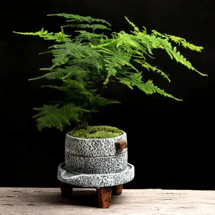 

Small stone mill Creative cement style flower pot Green plant pot small bonsai pot home interior retro succulent plant pot