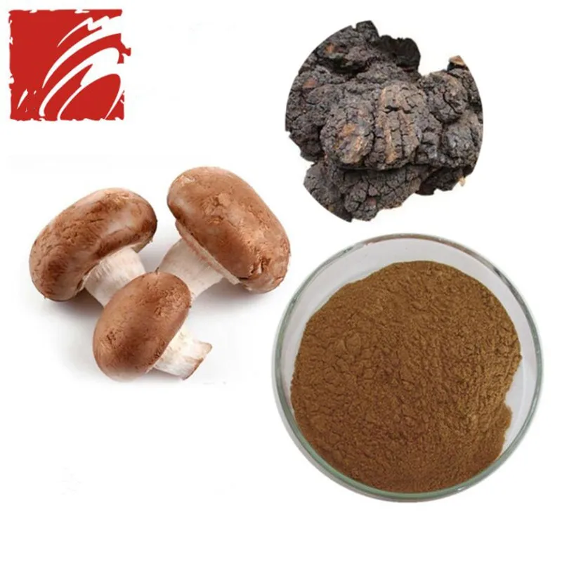 100 g Конечная Грибная добавка-экстракт рейши, Кордицепса, майтаке, шиитаке, Чаги - Цвет: 100 g