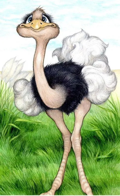

Round Diamond Embroidery,ostrich cartoon Full,5D,DIY Painting,Cross Stitch,3D, Mosaic,Decor