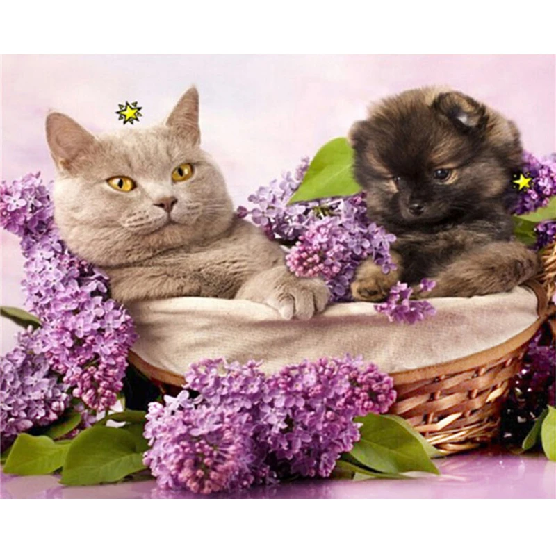 Diamond Embroidery 5d Diy Diamond Painting Kits for Round Drill Rhinestone Embroidered Mosaic Mazayka lilac Purple Flower Cat  (1)