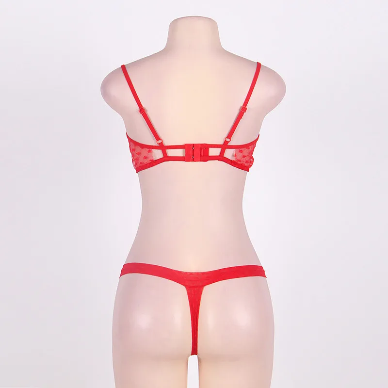 R70081-3--2