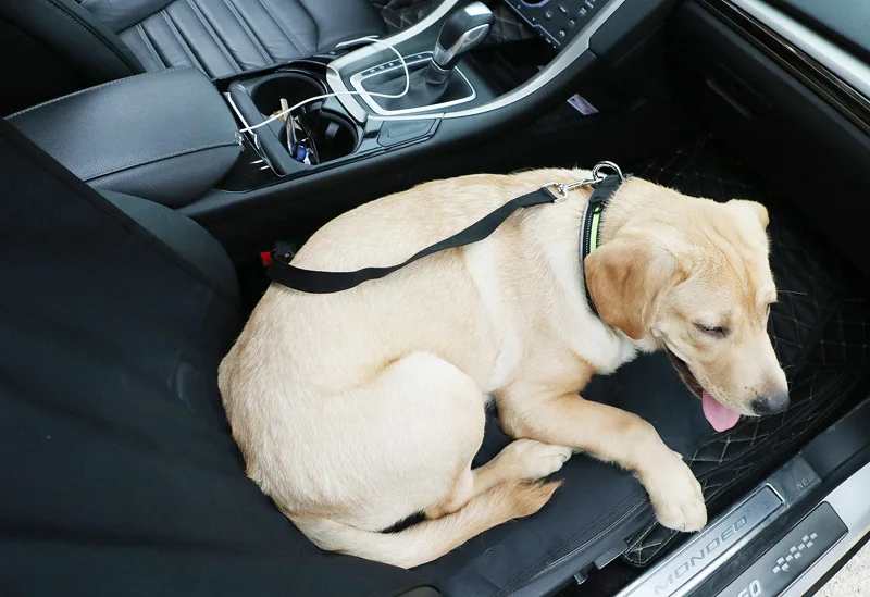 Car Backing Seat Cover 25