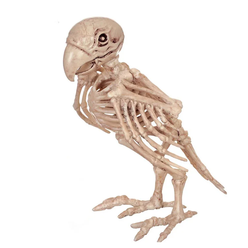 

Halloween Party Supply Fantasy Bone Skeleton Parrot Animal Skeleton Bones for Home Horror Halloween Decoration