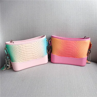 

free shipping the new 2019 spring serpentine gradient chain stray package one shoulder aslant leather bag