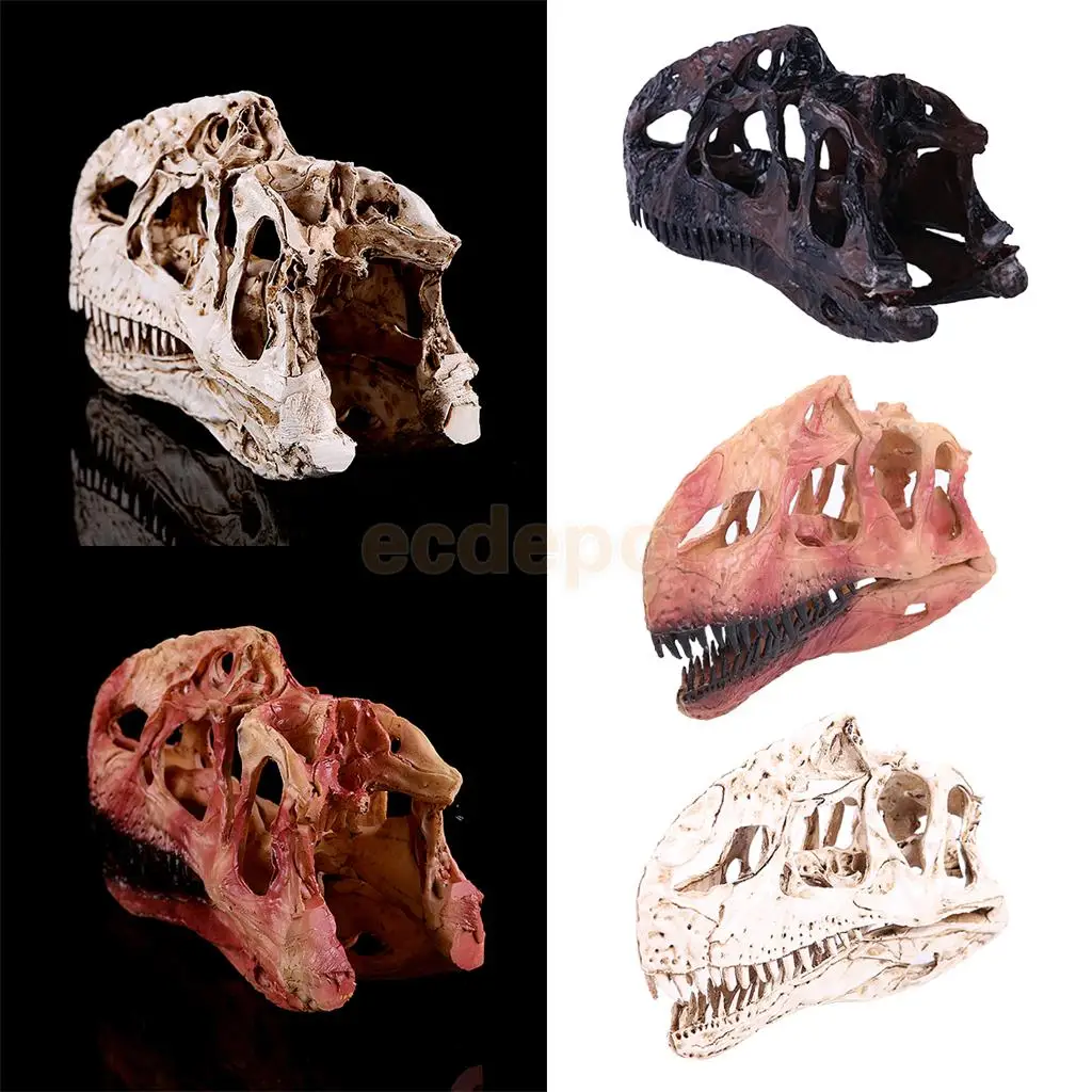 dinosaur scale fossil