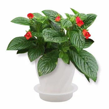 

6pcs Plastic Automatic Water Absorption Plant Flower Pot Vertical Garden Pots Creative Flower Pot Decorative Desktop Flowerpots