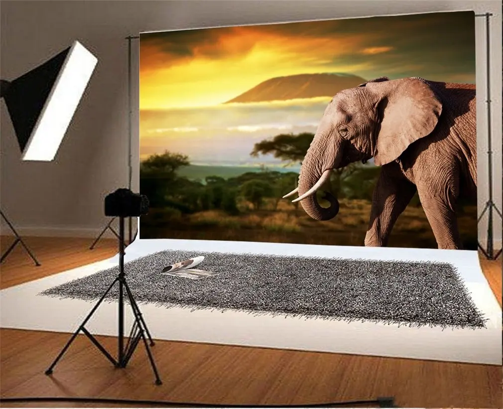 

Photography Backdrop Zoo Elephant Nature Ric Elegant Mount Trees Coloful Sky Photo Background Party
