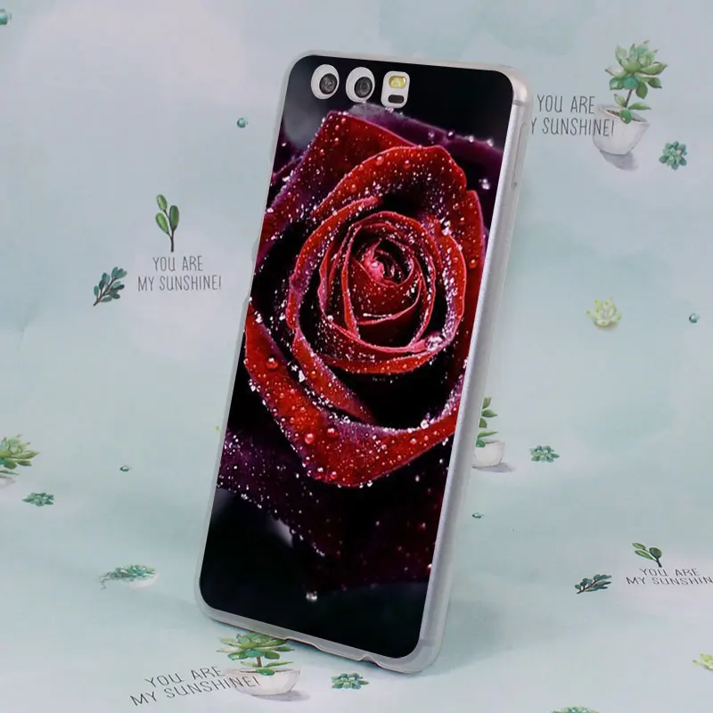 Wallpapers Hd Arctic Monkeys<br/>