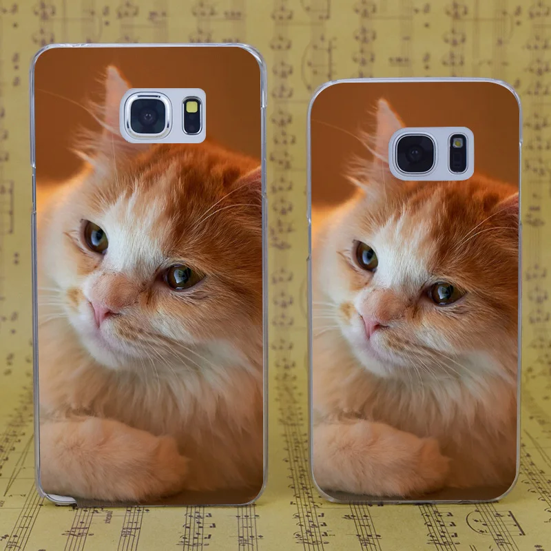 DREAM FOX B2808 Orange Fluffy Cat Transparent Hard PC Case Cover For Samsung Galaxy S 4 5 6 7 8 Mini Edge Plus Note 3 |