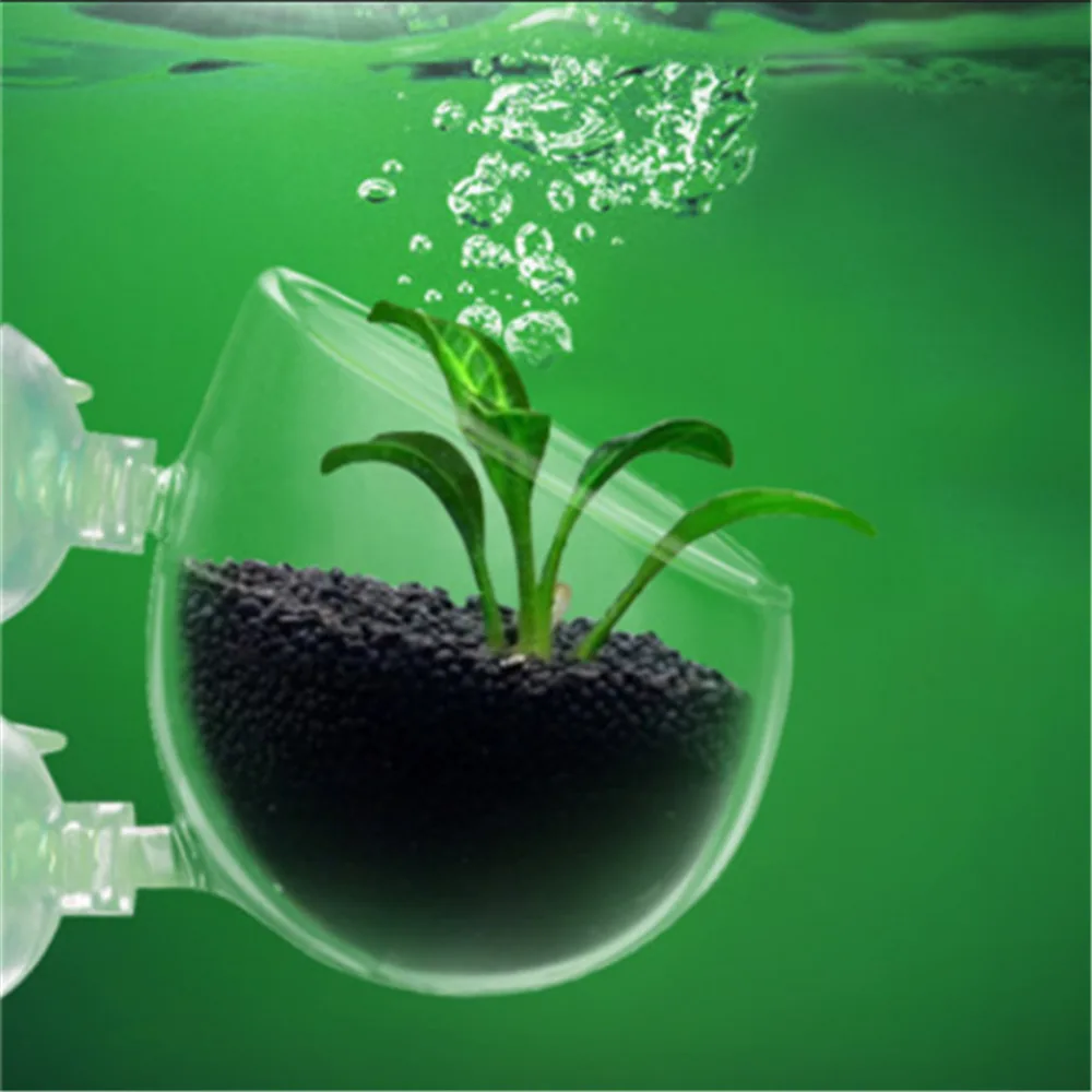 Aquarium Tank Aquatic Plants glass Landscape Cup Cultivation Basin Mini