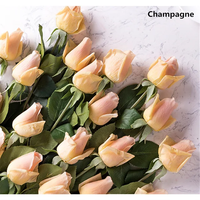 A-Champagne