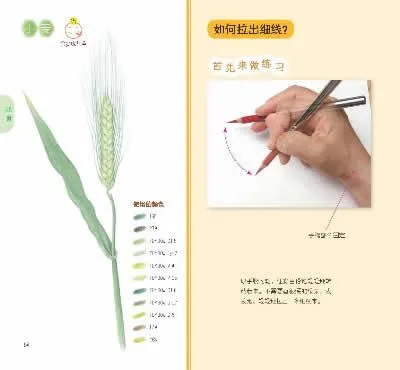Китайский цветные карандаши для рисования свежие цветы и вкусные фрукты суккуленты книга про живопись
