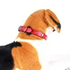 Pet Products