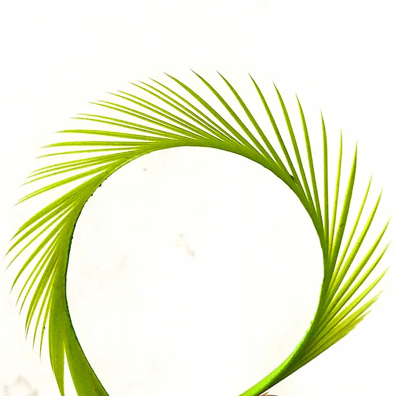 IMG_20181205_141630_