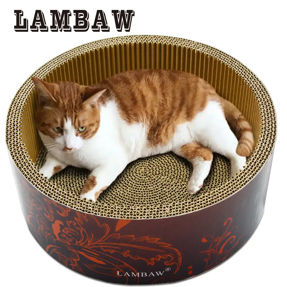 circle cat bed