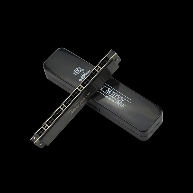 Cheap 24 Hole Harmonica C Key Tremolo Mouth Organ Matte/Light Black