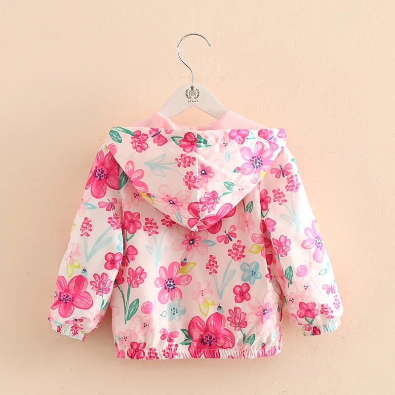 TB2analXjnyQeBjSspbXXazUXXa_!!20333751