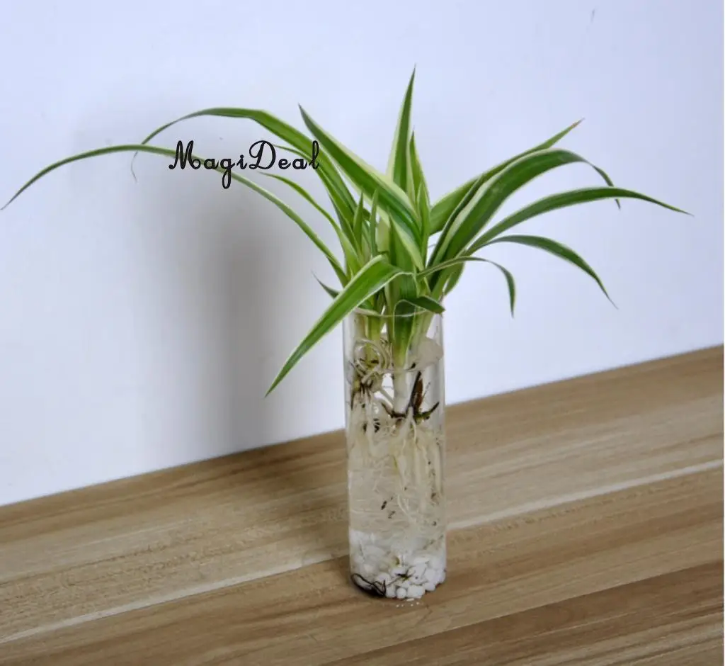 MagiDeal Handmade Cylinder Clear Glass Wall Hanging Vase Bottle for Plant Flower Bedroom Living Room Office Desk Decoration Gift