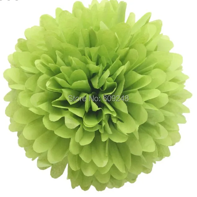 alipom14011.jpg