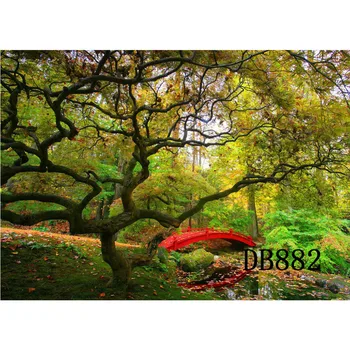 

Polyester & Vinyl Backdrops Background For Photography Studio Backdrop Photo Props Chinese Style Red BVridge Nature Forest Decor
