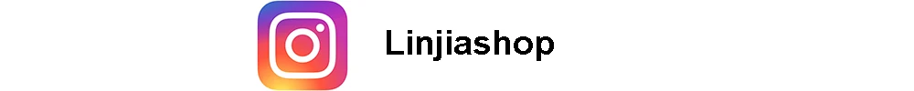 INS-2