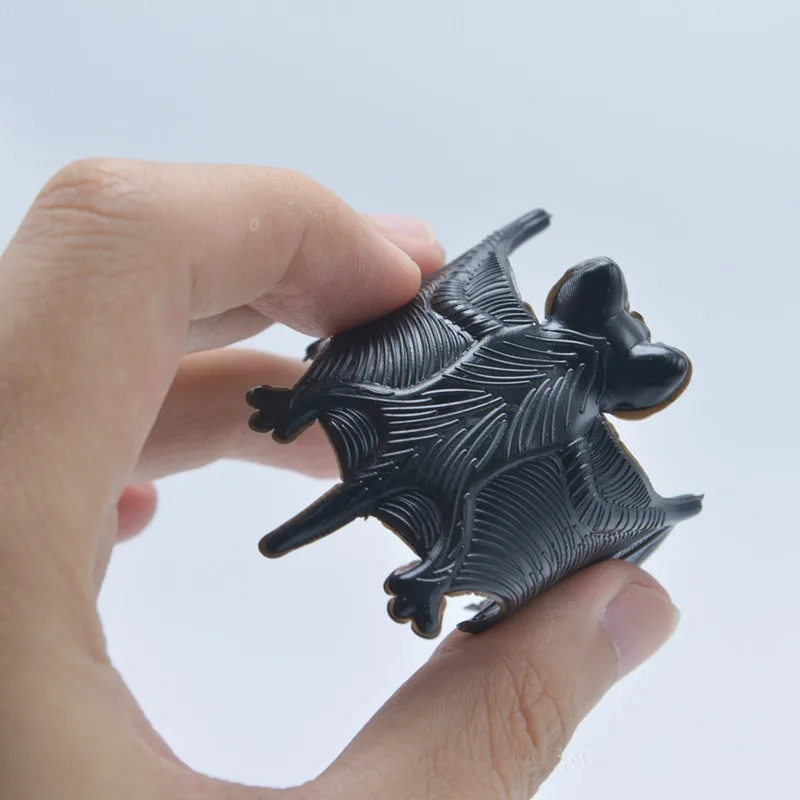 4679900265_1441114886