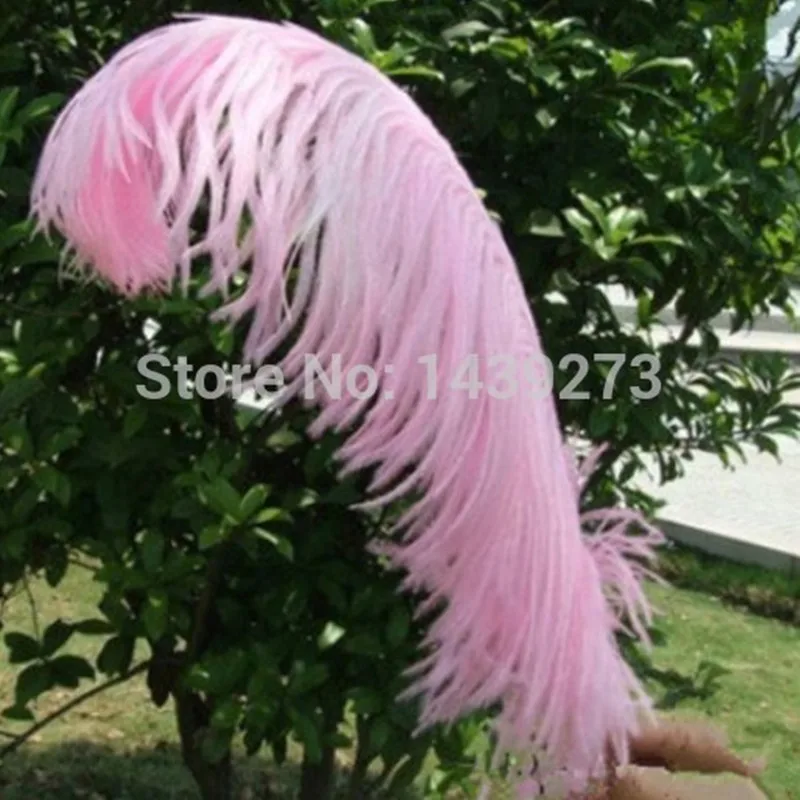 wholesale 100 pcs / lot Pink ostrich feathers 35 40CM / 14 16 "inch