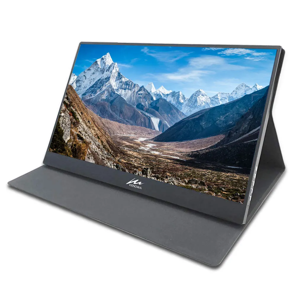 

15.6" Portable 1920x1080P LED Gaming Monitor HDMI Surveillance for Switch Drone CCTV Slim IPS Screen Display with 2 Type-C USB-C