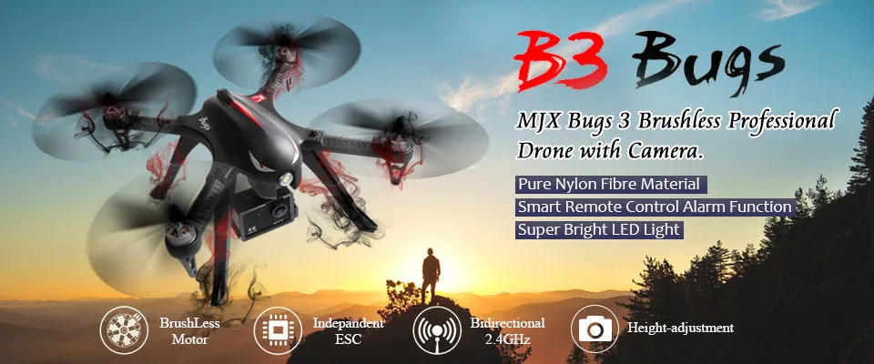 B3 