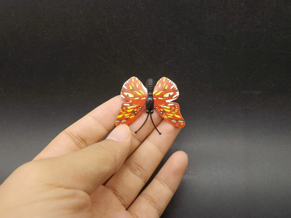 I255-Butterfly (3)